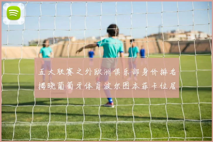 五大联赛之外欧洲俱乐部身价排名揭晓葡萄牙体育波尔图本菲卡位居前三