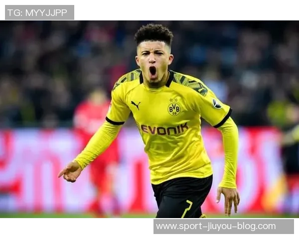 本菲卡计划冬窗出售施耶尔德鲁普目标转会费2500万欧元